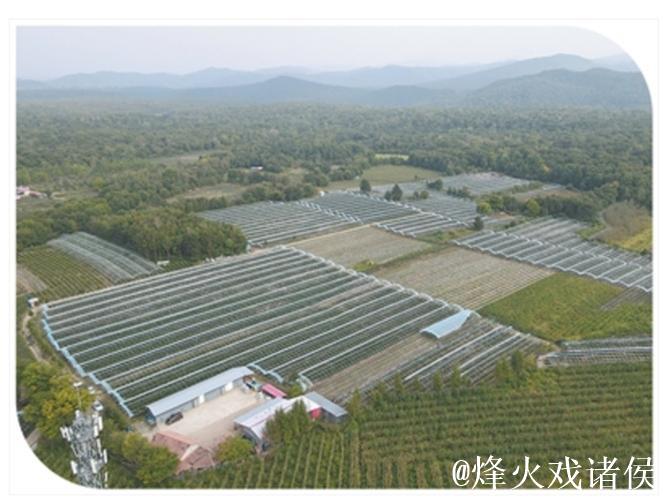 “三夏”里的新质生产力